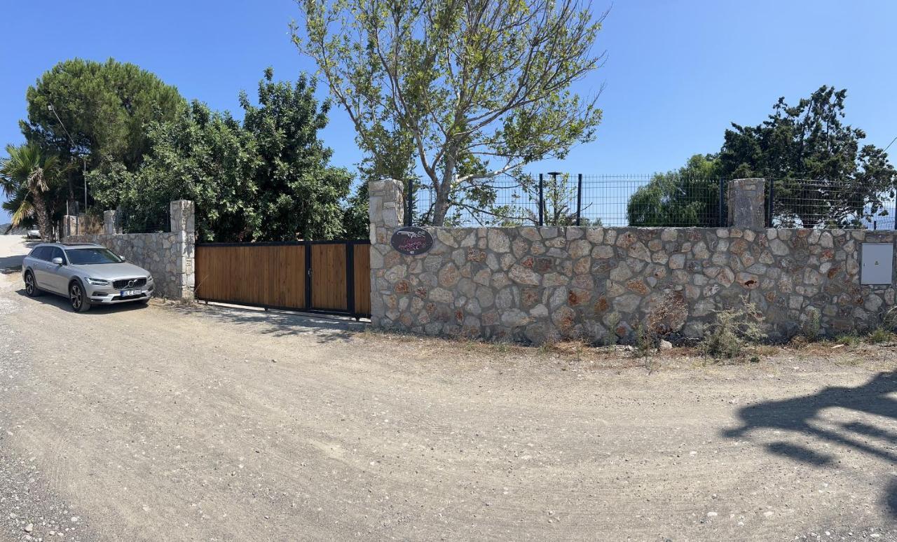 מלון Tiny דטקה מראה חיצוני תמונה